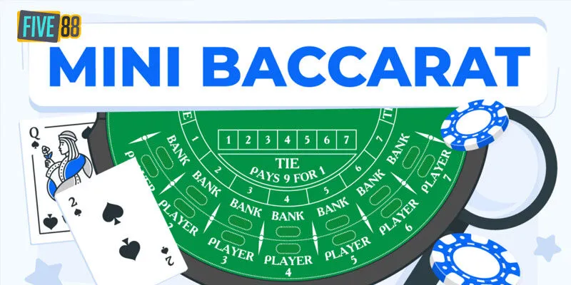 Thuật ngữ khi chơi Baccarat online mà bạn chưa biết