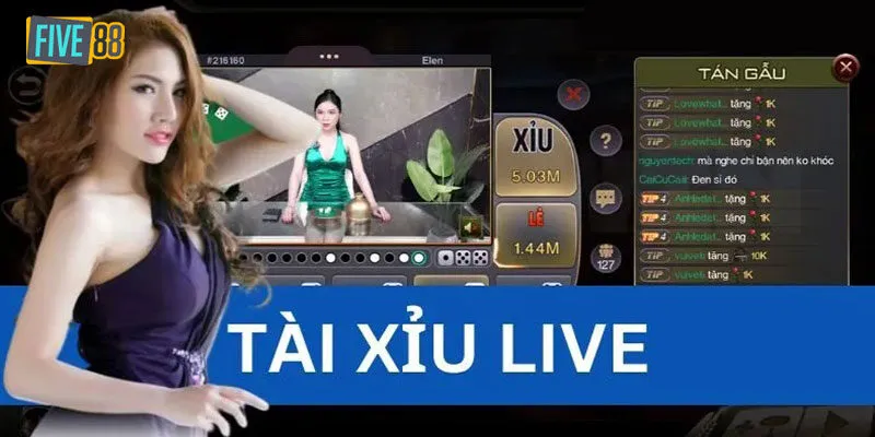 Bí kíp chơi tài xỉu live đỉnh cao, dễ kiếm lãi 